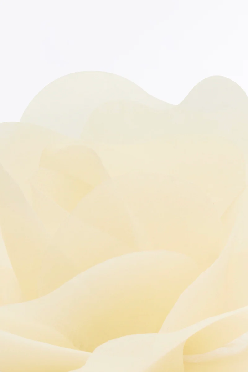 IVORY SMALL FIORE BROOCH - Image 2