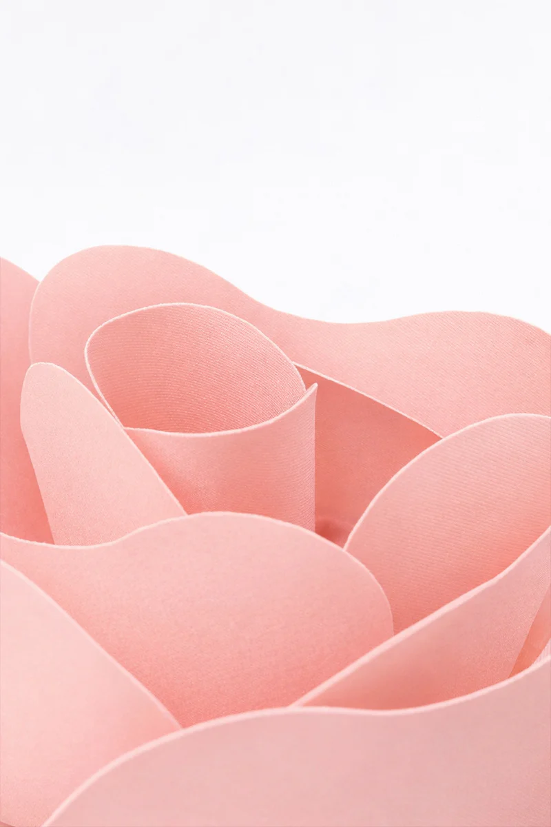 PALE ROSE FIORE BROOCH - Image 2